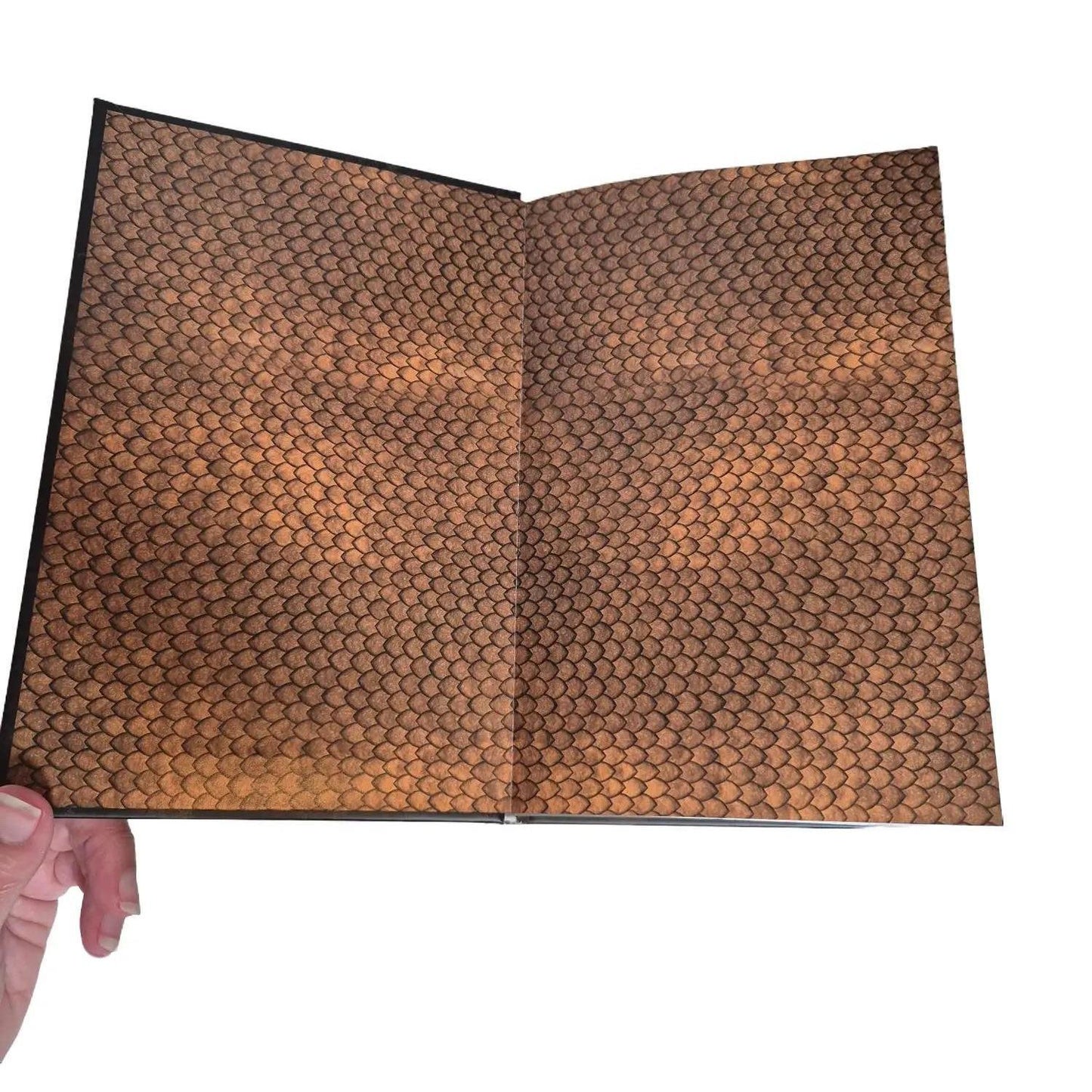 Dragon scales end pages