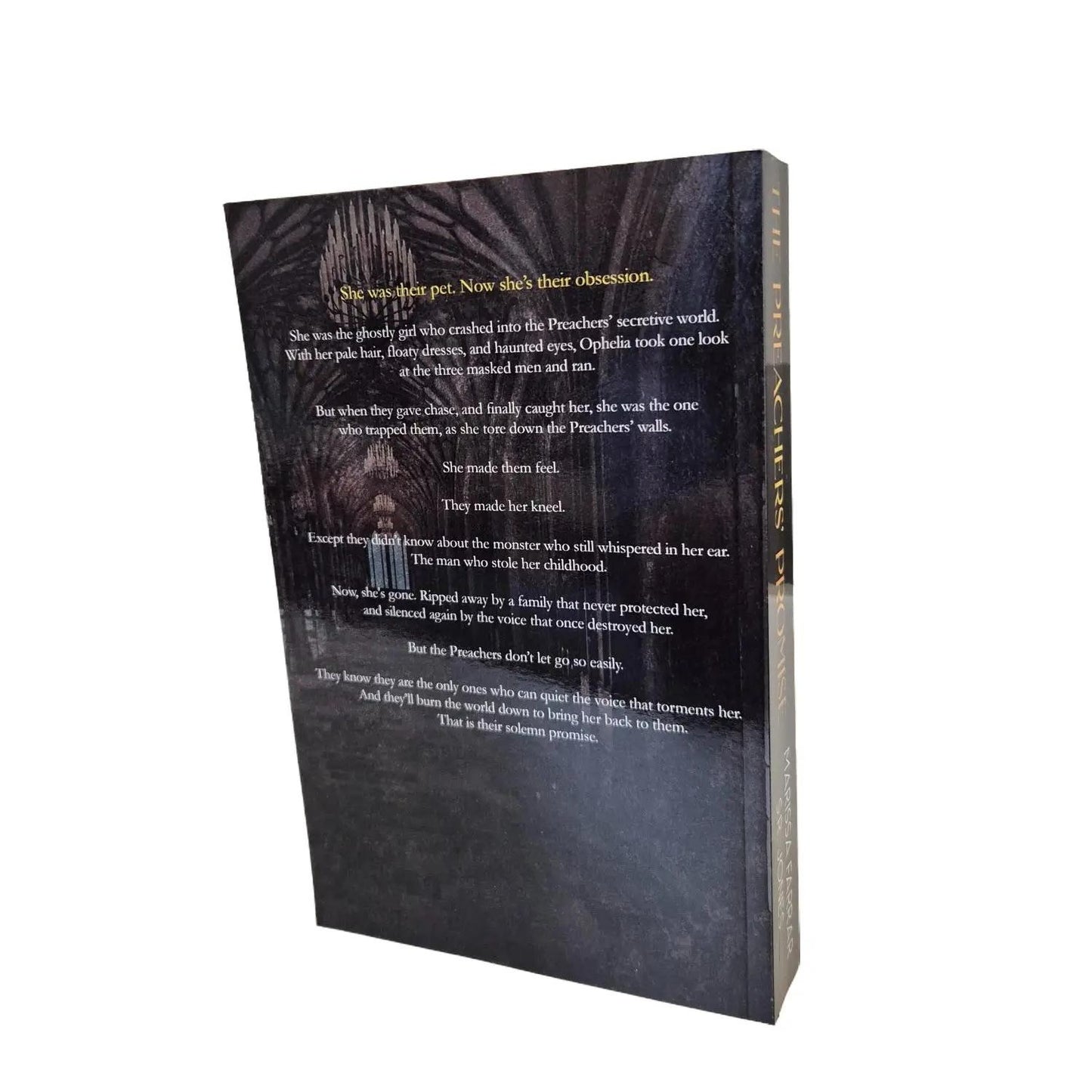 Back cover of paperback The Preachers' Promise showing the blurb