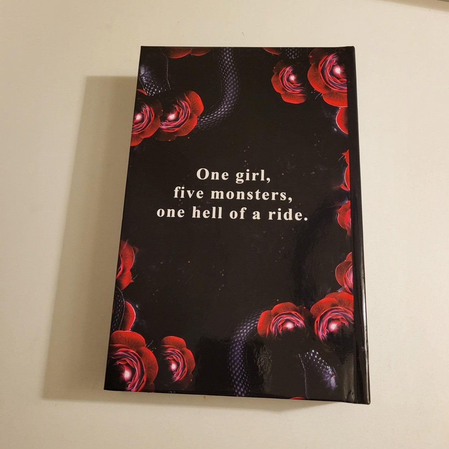 Back of hardback of Wicked Monsters with the text 'one girl, five monsters, one hell of a ride.'