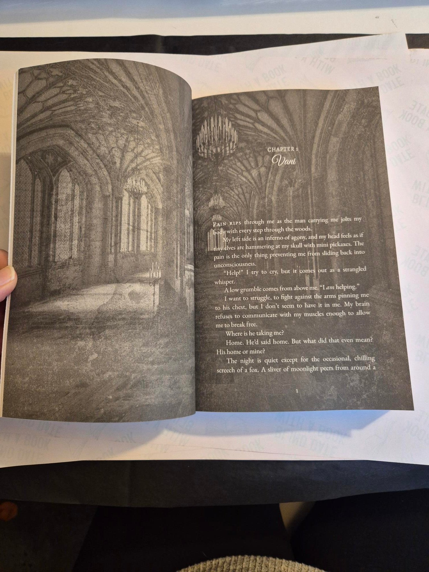 Interior of the Vipers and Their Vendetta paperback